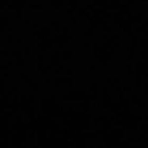 Meet your Posher, Bri